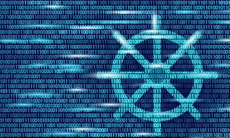 软件开发